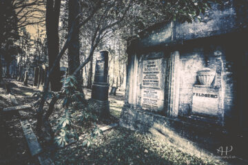 Annette Hanl - Jüdischer Friedhof 07.02.2023 - Foto 6