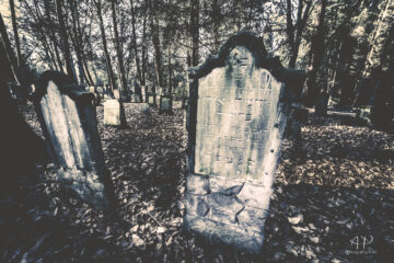 Annette Hanl - Jüdischer Friedhof 07.02.2023 - Foto 7