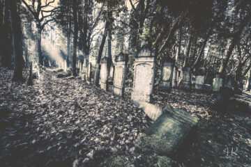 Annette Hanl - Jüdischer Friedhof 07.02.2023 - Foto 8