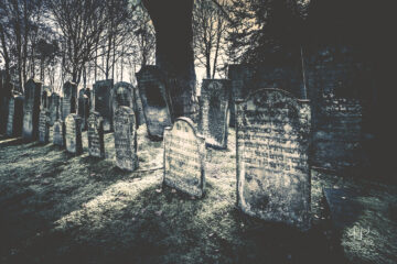 Annette Hanl - Jüdischer Friedhof 07.02.2023 - Foto 9