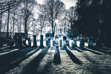 Annette Hanl - Jüdischer Friedhof 07.02.2023 - Foto 10