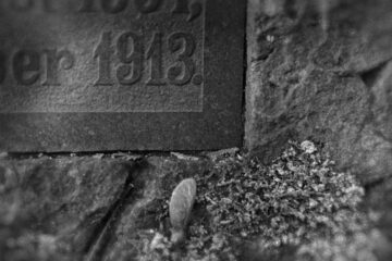 Jens-Michael - Jüdischer Friedhof 07.02.2023 - Foto 7