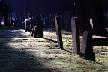 Jens-Michael - Jüdischer Friedhof 07.02.2023 - Foto 8