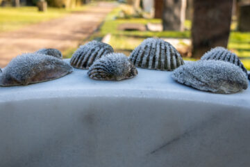 Edeltraud - Jüdischer Friedhof 07.02.2023 - Morgenfrost