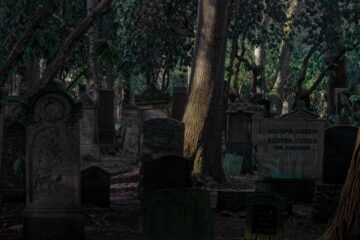 Bodo Jarren - Jüdischer Friedhof 07.02.2023 - Natur und Gräber