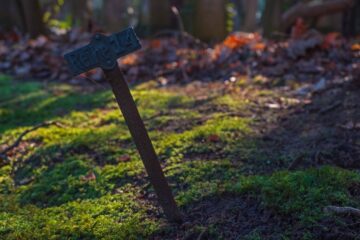 Peter Reinhold - Jüdischer Friedhof 07.02.2023 - Reihe 14