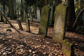 Peter Reinhold - Jüdischer Friedhof 07.02.2023 - Standhaft