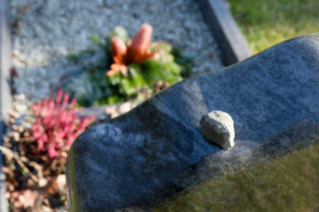 Matthias - Jüdischer Friedhof 07.02.2023 - Stein auf Stein