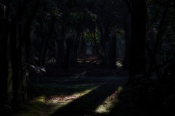 Bodo Jarren - Jüdischer Friedhof 07.02.2023 - Tolle Lichtstimmung