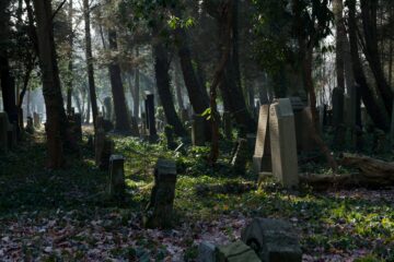 Matthias - Jüdischer Friedhof 07.02.2023 - Vom Wald behütet
