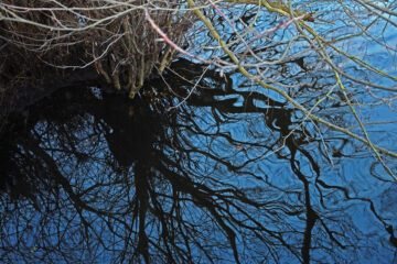 Sabine Poppe - Uhlenhorst 07.03.2023 - Wasserspiegelung Alster