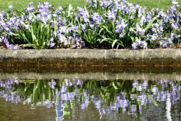 Susanne O - Planten un Blomen 26.03.2023 - Blumenspiegel