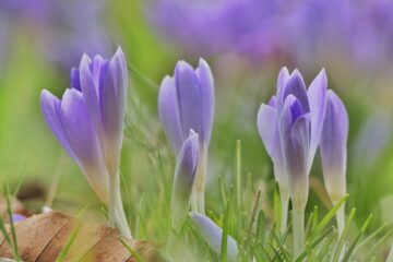 Susanne Wahl - Challenge 75: 04.04 - 16.04.2023 - Langsam wird es bunt