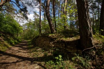 Bodo Jarren - Besenhorster Sandberge 13.05.2023 - Auf dem Weg