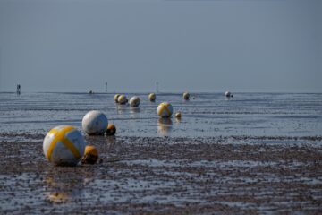 Bodo Jarren - Cuxhaven 03.06.2023 - Auf dem trockenen