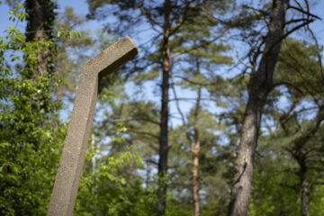 Hartmut Teschemacher- Besenhorster Sandberge 13.05.2023 - Baum aus Beton