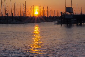 Leif - Cuxhaven 03.06.2023 - Golden