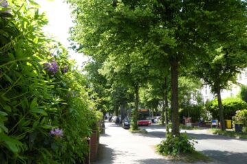 Peter Weise - Heimfeld 06.06.2023 - Heimfelder Straße