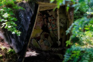 Bodo Jarren - Besenhorster Sandberge 13.05.2023 - Im verwunschenen Wald