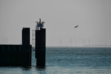 Nadine Gutmann - Cuxhaven 03.06.2023 - Silent morning