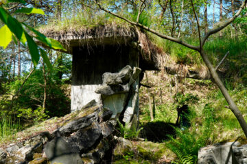 Bernd Mattern - Besenhorster Sandberge 13.05.2023 - Versteckt