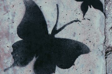 Nadine Gutmann - Spontane Tour Hafen City 18.05.2023 - Black butterflies