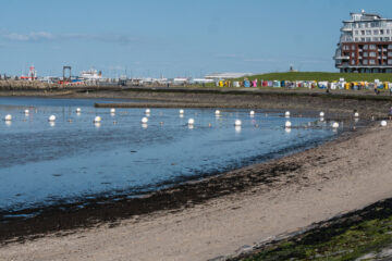 Edeltraud - Cuxhaven 03.06.2023 - Hafenpanorama