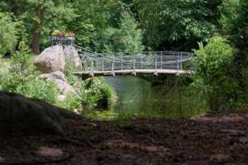 Matthias - Bergedorf 27.06.2023 - Brücke