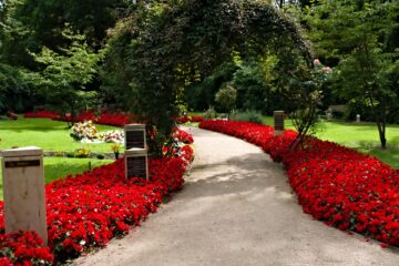 Bernd Mattern - Ohlsdorfer Friedhof 25.07.2023 - Bogen