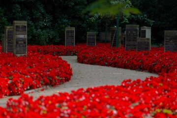 Bodo Jarren - Ohlsdorfer Friedhof 25.07.2023 - Ein Weg durch Rot