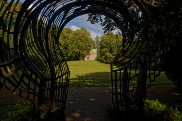 Bodo Jarren - Ohlsdorfer Friedhof 25.07.2023 - Hier wird es Anonym