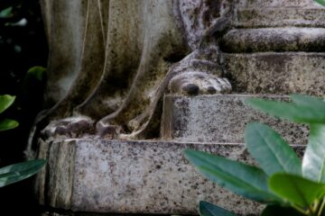 Bodo Jarren - Ohlsdorfer Friedhof 25.07.2023 - Standhaft