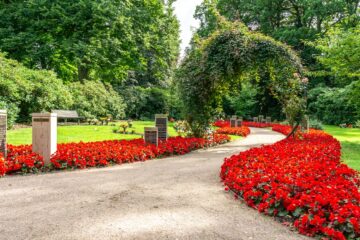 Peter Schultz - Ohlsdorfer Friedhof 25.07.2023 - O.T.