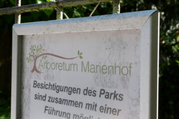 Matthias - Arboretum Marienhof 09.09.2023 - Arboretum