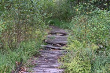 Wolfgang Scheffler - Challenge 89: 16.10 - Weg zum ewigen Meer