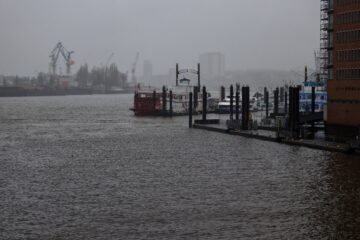 Bodo Jarren - Neujahrsspaziergang 02.01.2024 - Blick zur Elbe