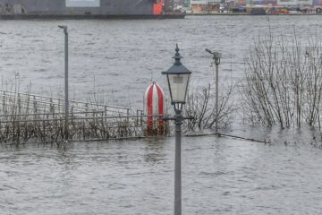 Susanne Wahl - Challenge 94: 25.12 - 07.01.2024 - Land unter am Fischmarkt