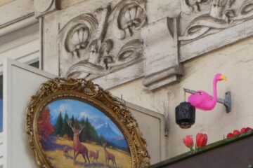 Peter Weise - Portugiesenviertel - 18.04.2024 - Hirsch auf Flamingopirsch