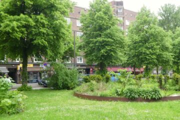 Peter Weise - Zollhafen Veddel - 07.05.2024 - Stadtnatur