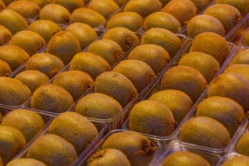 Bodo Jarren - Fischmarkt - 13.10.2024 - Kiwi im Fünfer Pack