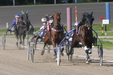 Peter Weise - Trabrennbahn - 07.09.2024 - Schneller!