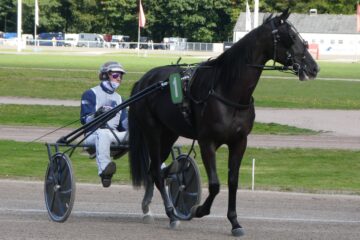 Peter Weise - Trabrennbahn - 07.09.2024 - Schwarzes Ross