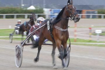 Peter Weise - Trabrennbahn - 07.09.2024 - Wirbelwind