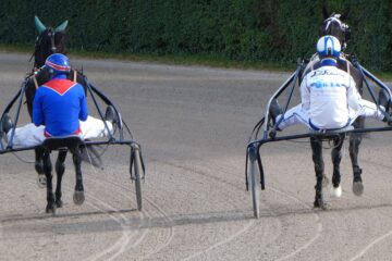 Peter Weise - Trabrennbahn - 07.09.2024 - Zweikampf