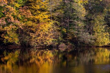Bodo Jarren - Arboretum Marienhof - 26.10.2024 - Blick übern Teich