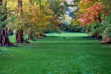 Peter Schultz - Arboretum Marienhof - 26.10.2024 - OT