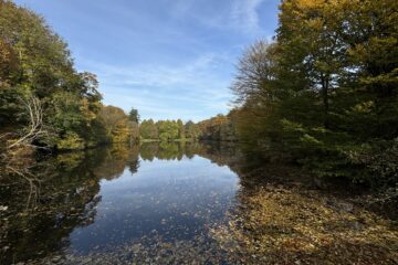 Christiane Leithäuser - Arboretum Marienhof - 26.10.2024 - OT