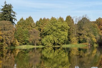 Christiane Leithäuser - Arboretum Marienhof - 26.10.2024 - OT