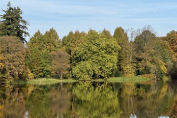 Christiane Leithäuser - Arboretum Marienhof - 26.10.2024 - OT