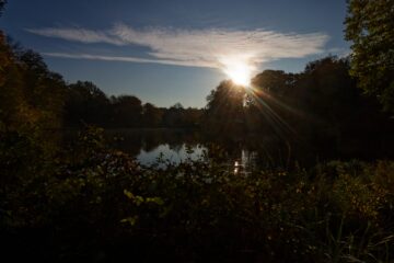 Bodo Jarren - Arboretum Marienhof - 26.10.2024 - Langsam geht die Sonne unter
